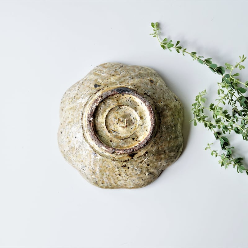 黄瀬戸絵変り小皿 5枚 [B24546] 【公式通販】