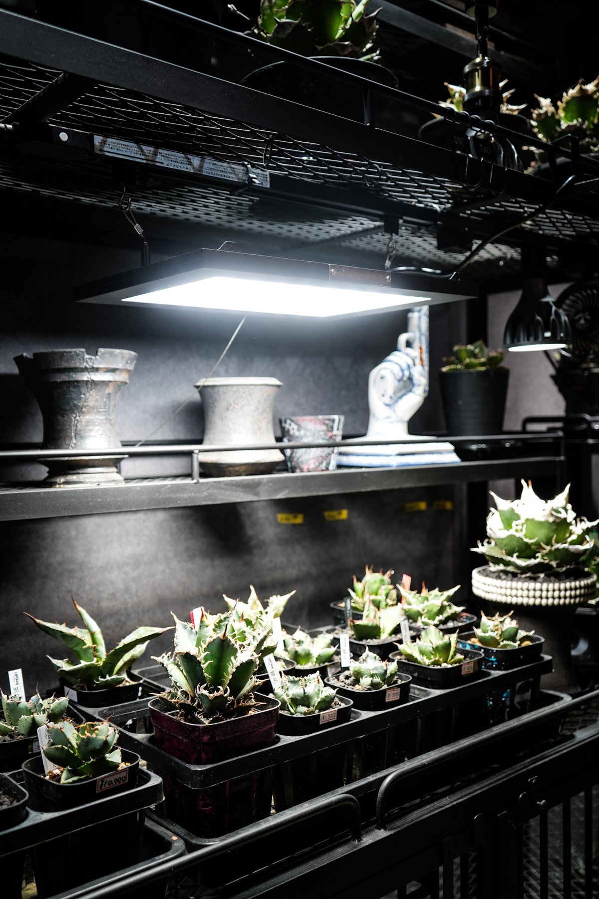 ROKI‐350 100W】(ロキ) パネルライト 超高演色 植物育成用照明 | carpe