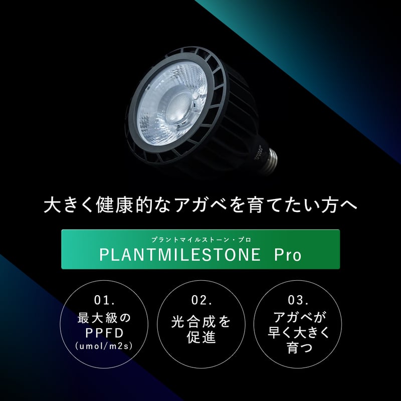 PLANTMILESTONE アガベ専用ライト Pro | Ducks ( plants. )