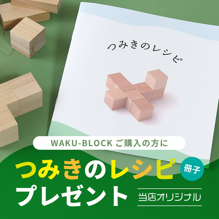 ワクブロック 45 H4（廃盤レア品） 童具館 つみき ワクブロック 45 H4
