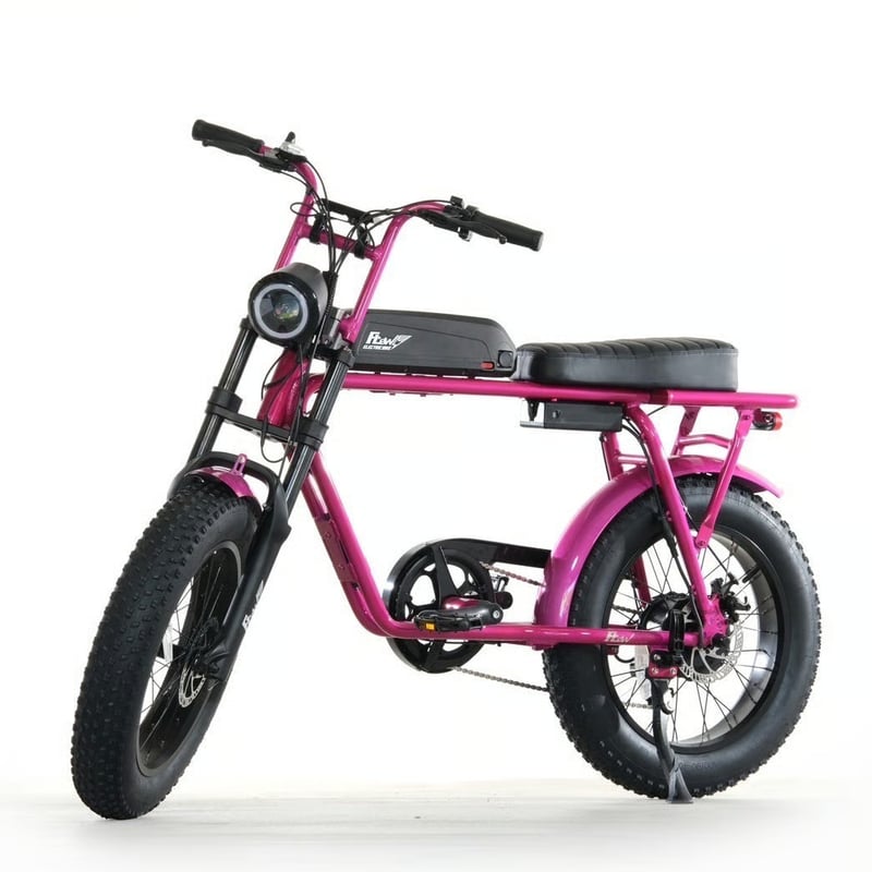 自転車本体 flow bike FLOW - アニマト株式会社