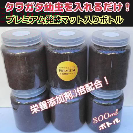 インセクトショップ