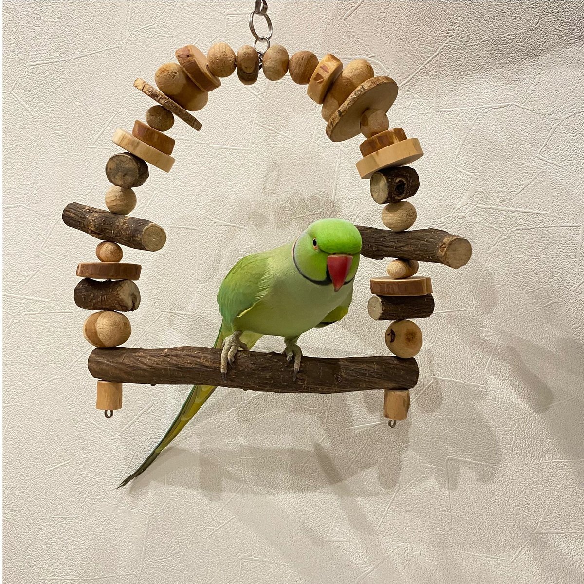 カラフルウッドブランコ♪キウイのツルஐ