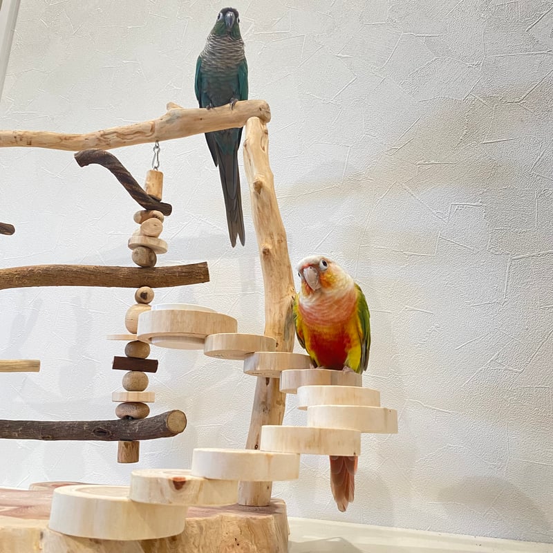 ブランコと螺旋階段のバードアスレチック【インコのおもちゃ・自然木の