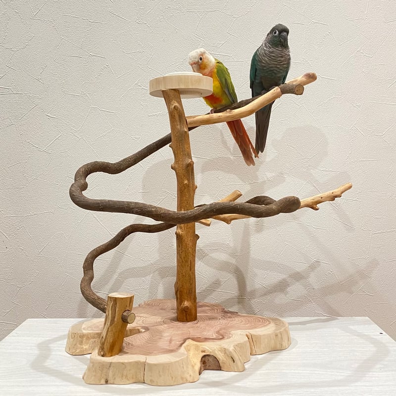 ツタのぐるぐるバードアスレチック①【インコのおもちゃ・自然木の