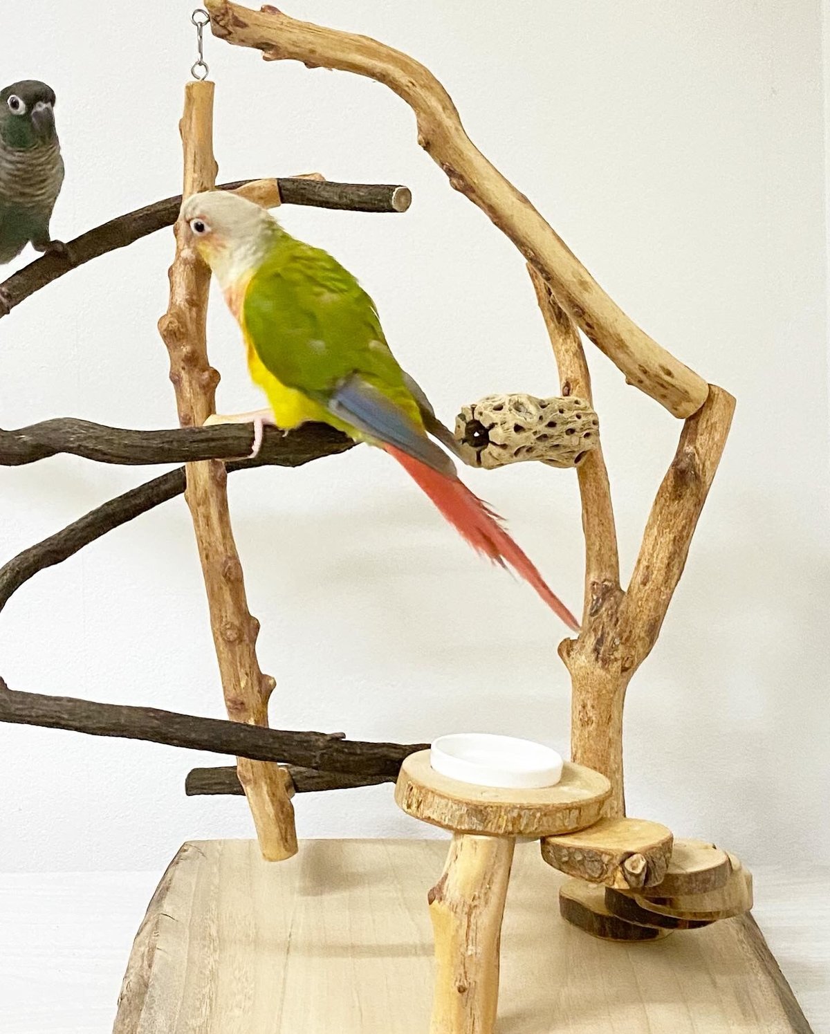 fit=scale-down,w=1200