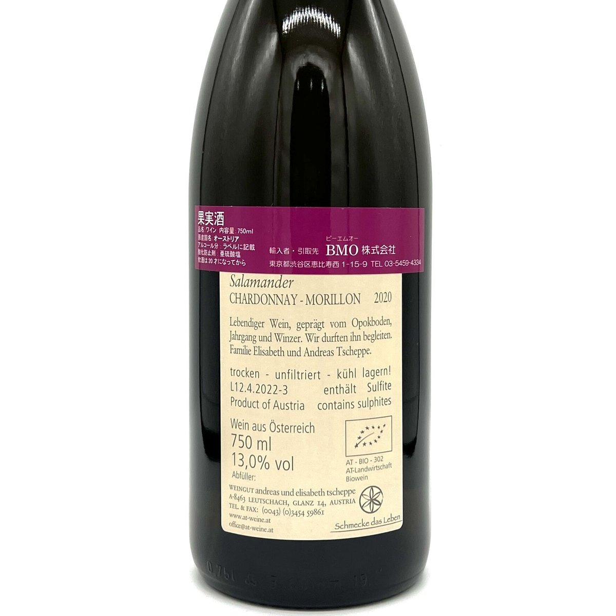 アンドレアス・ツェッペ / サラマンダー（トカゲ）2020 | WANDERLUST