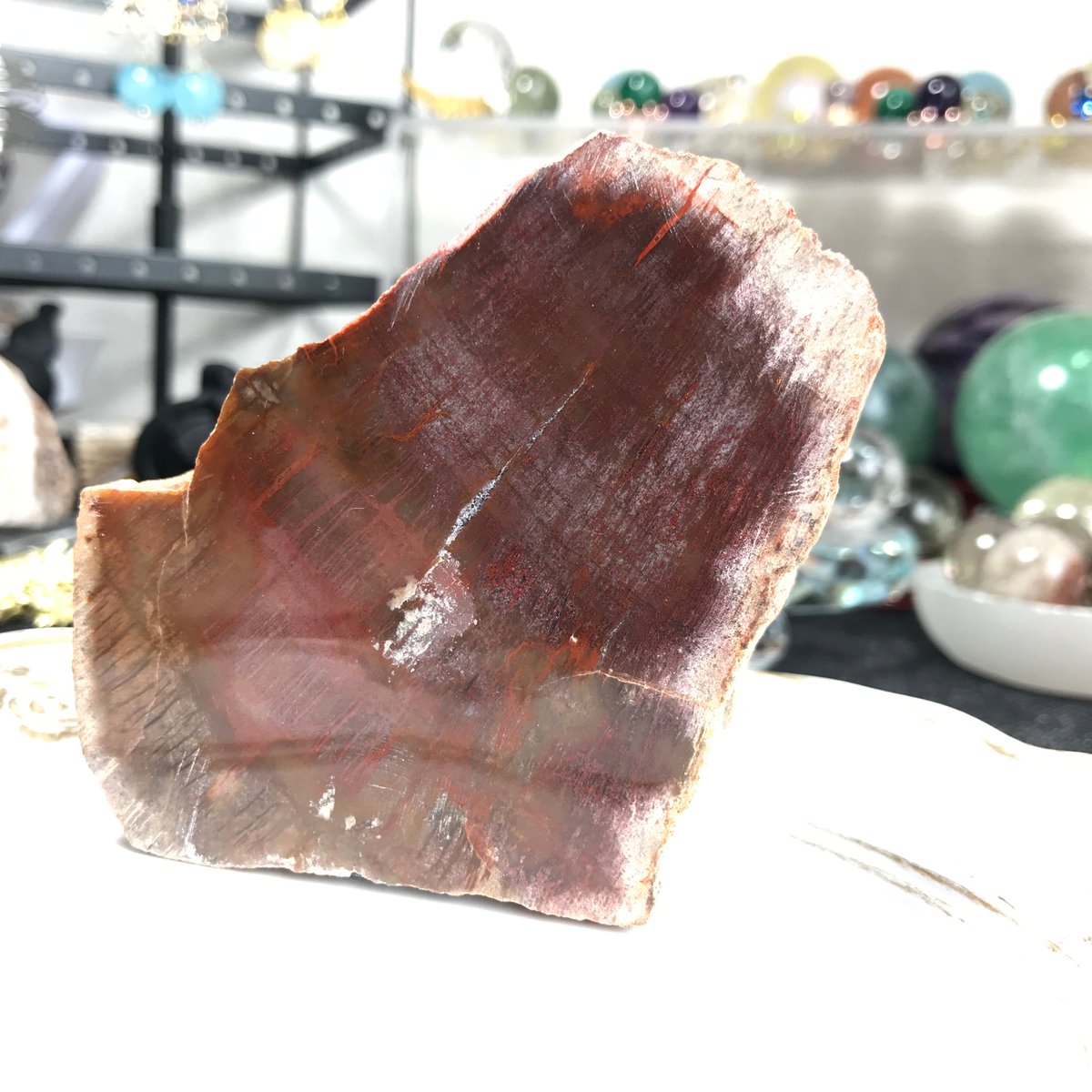 ペトリファイドウッド 珪化木【木の化石】スライド ブラジル産 92x 64x