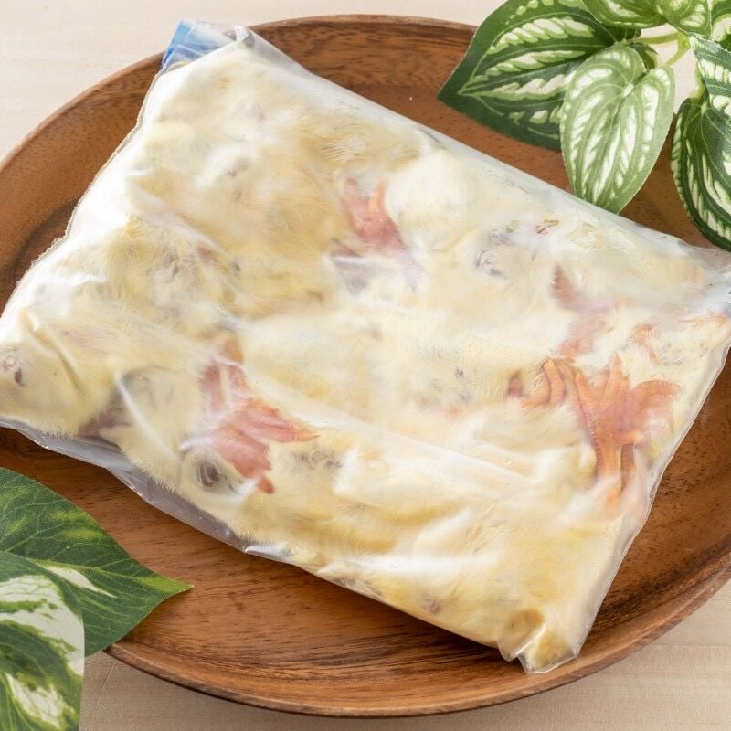 国産】冷凍ヒヨコ 400羽 ふわふわ鮮度抜群！ 【公式通販】