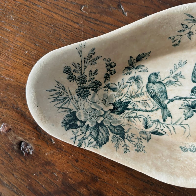 Longwy ロンウィ ラヴィエ Mignon 花鳥 フランス アンティーク 0501854