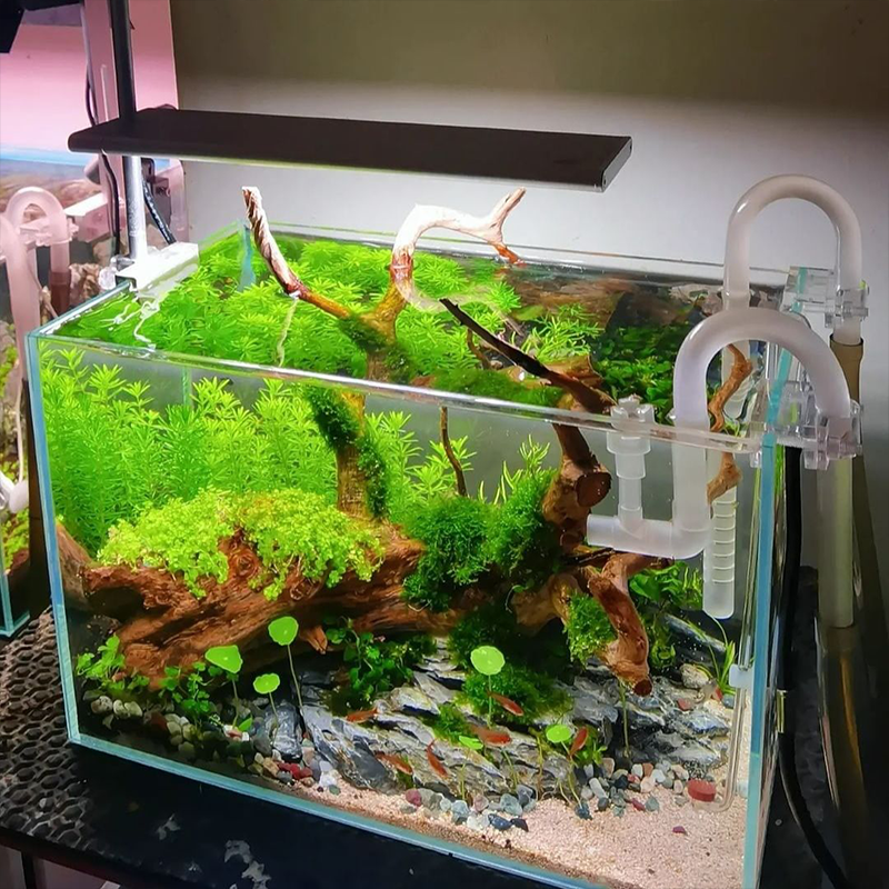 NEW AQUA FLARE UVA S300/S450 RGB TH | アクアリウム LE