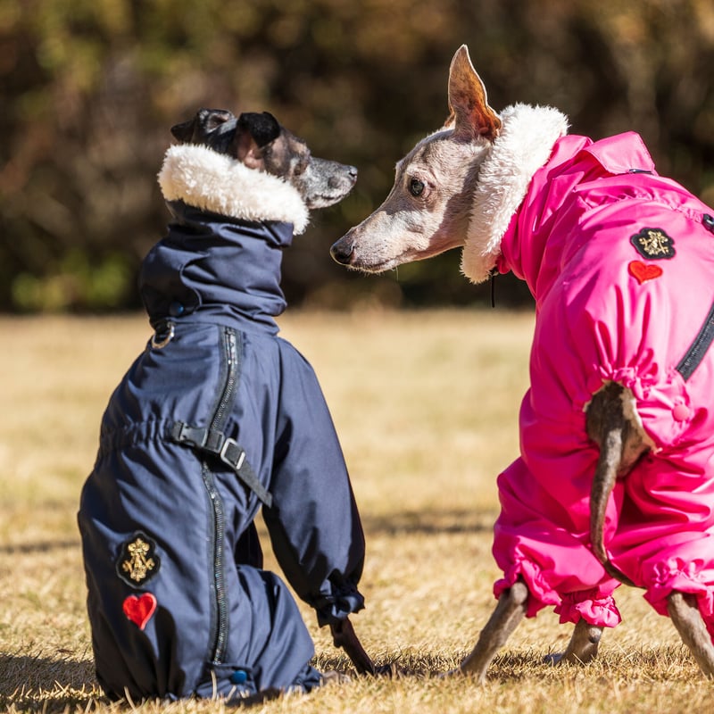 撥水＋シープフリースカバーオール | FEEL SO DOOG（フィール・ソー
