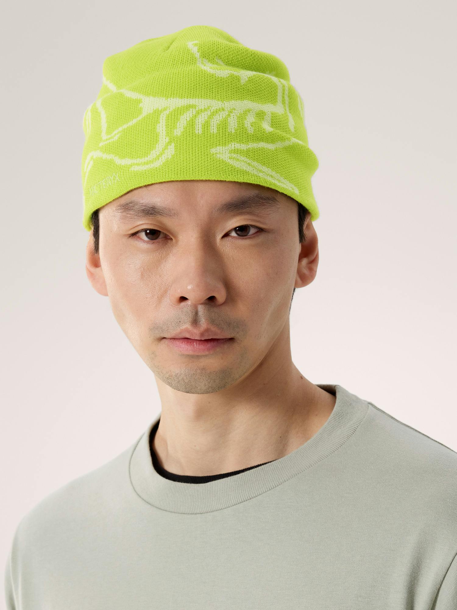 Bird Head Toque | Arc'teryx Switzerland