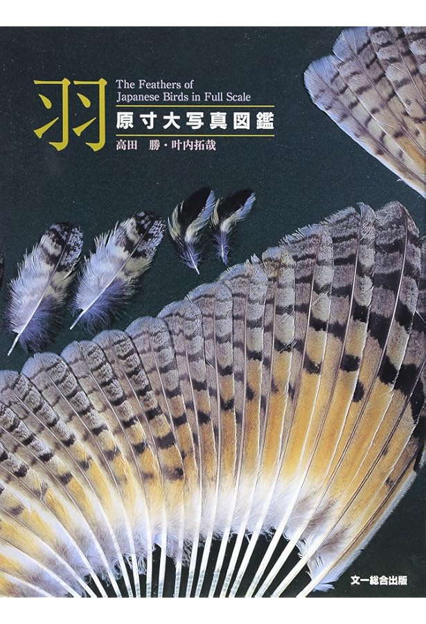 Amazon.co.jp: 原寸大写真図鑑 羽 増補改訂版 : 叶内拓哉, 高田 勝