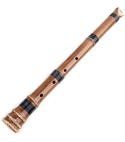 Amazon | 尺八 樹脂製 1尺8寸管 key D （完全調律尺八 悠) | 尺八
