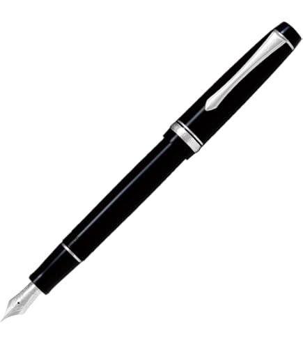 Amazon | PILOT 万年筆 マンネンヒツカスタムヘリテイジSE MARM