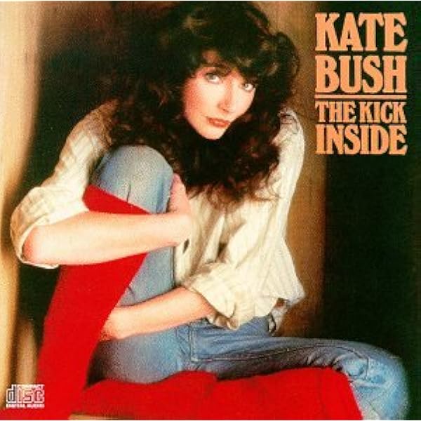 Kate Bush ケイト・ブッシュ ギターピック Kate Bush ケイト・ブッシュ