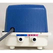 41Z4xHb-M3L._AC_UL210_SR210,