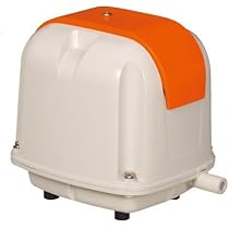 41d6rncCYbL._AC_UL210_SR210,