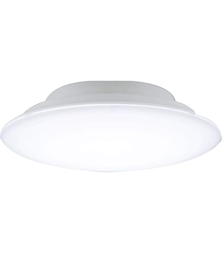 Amazon | パナソニック LED シーリングライト ナノイー搭載 ひと