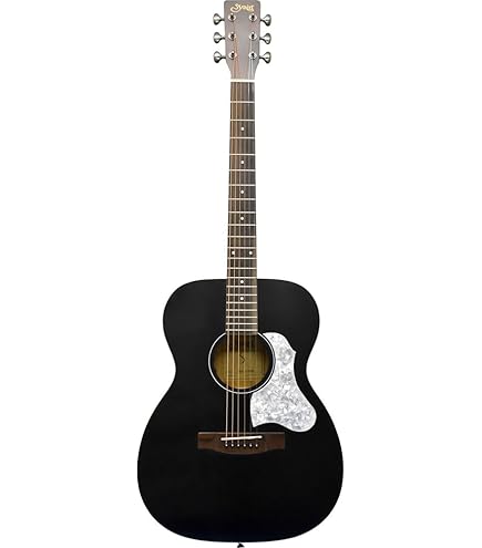 Amazon | S.Yairi ヤイリ E-Acoustic Series エレクトリック