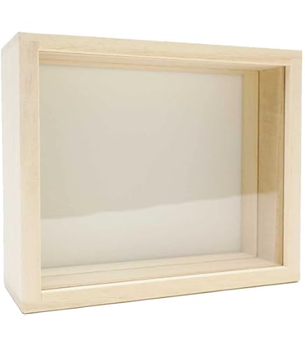 Amazon.co.jp: 大型ドイツ型標本箱（茶） : おもちゃ