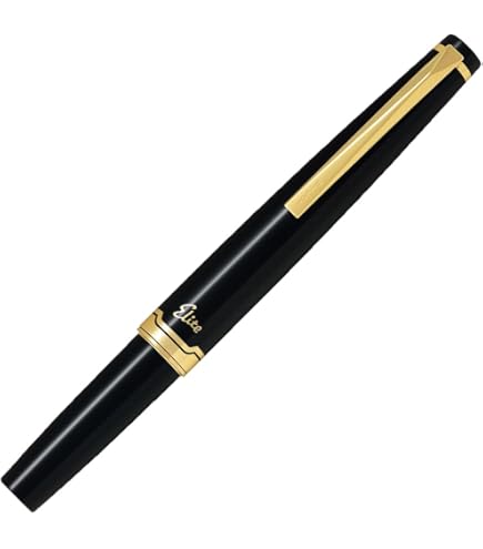 新品未使用金属軸エラボーSFニブブラックパイロット万年筆備品あり