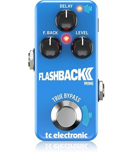 tc electronic FLASHBACK ディレイ＆ルーパー tc electronic FLASHBACK