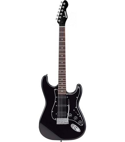 i様 SELDER セルダー エレキギター グロスネック ストラトキャスター