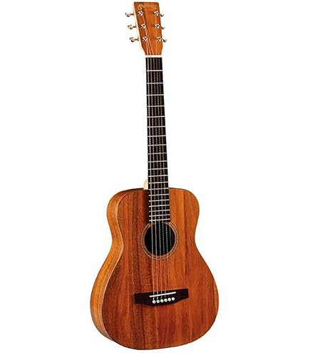 Amazon | Martin Gpcpa1 Plus Grand Performer Acoustic-Electric
