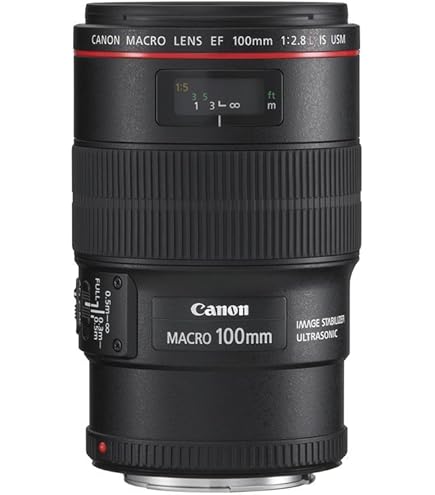 Amazon.co.jp: Canon 単焦点マクロレンズ EF-S60mm F2.8マクロ USM APS