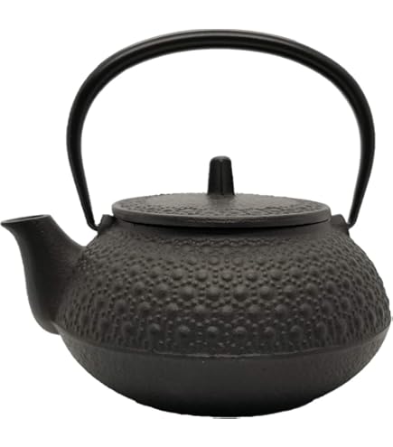 鉄急須 2500ml 梅蘭竹菊 鉄製 急須ホイッスルケトル 南部鉄器 鉄瓶 鉄器