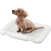 Amazon | アイリスオーヤマ 犬 サークル ウッディサークル インテリア