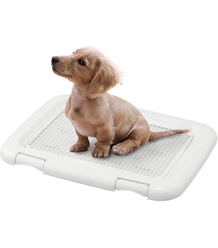 Amazon | アイリスオーヤマ 犬 トイレ しつけ メッシュカバー付 フチも