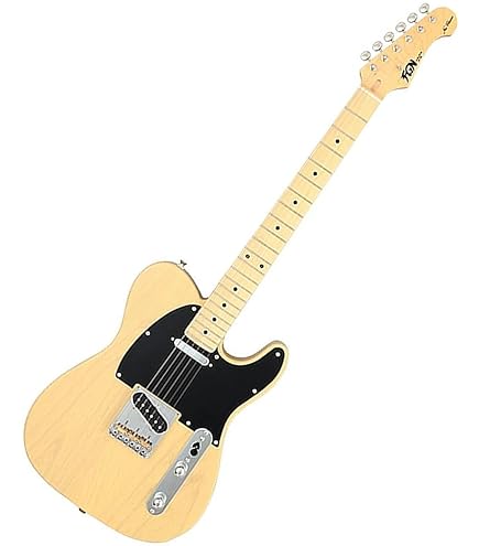 Amazon | FGN FUJIGEN NTE100MAHT SBB フジゲン Neo Classic SERIES