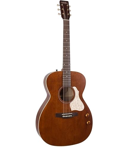 Amazon | Art & Lutherie (アートアンドルシアー) エレアコギター