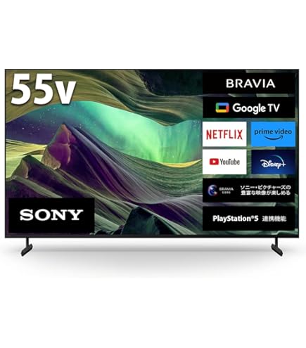 SONY BRAVIA HX850 55インチ 【公式通販】