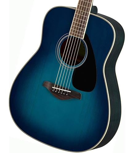 最終日 ヤイリ BL95-A アコースティックギター ハードケース付き 最終