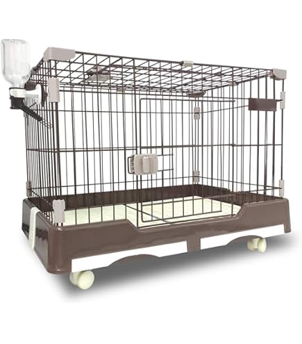 Amazon | 市瀬 ハチコウステンレスケージ SSM-SOP | 市瀬 | 飼育ケージ