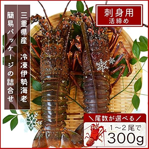 ロブスター標本 伊勢海老 金色フレーム入り 約60cm x 52cm M1