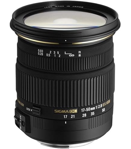 Amazon.co.jp: SIGMA 望遠ズームレンズ APO 70-300mm F4-5.6 DG MACRO