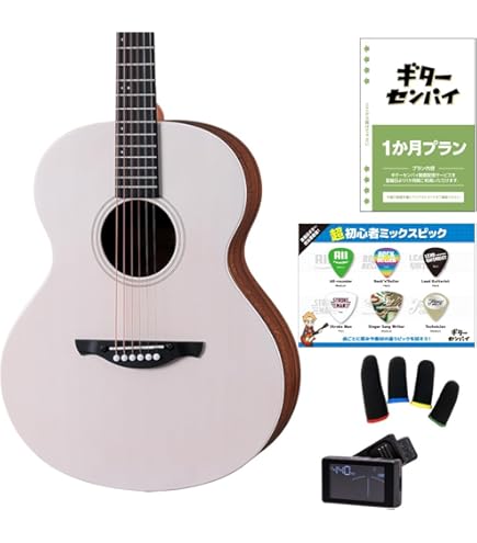 Amazon | James J-500S VNT エレアコ アジャスタブルサドル搭載 簡単弦