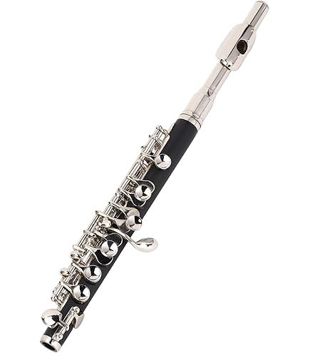 Amazon | 【国内正規品】 PLAYTECH プレイテック ピッコロ PTPC-300