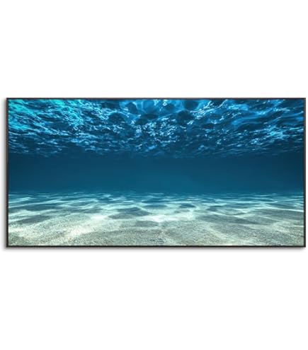 Amazon.co.jp: ジョン・アルホーグ サンライズ・イン・パラダイス 海