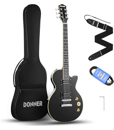 Amazon | PLAYTECH (プレイテック) エレキギター レスポールタイプ 2