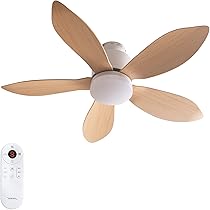 61Oea+IWgwL._AC_UL210_SR210,