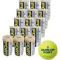 DUNLOP FORT テニスボール 2球入 19缶 38球 ダンロップ フォート 2ヶ入 (