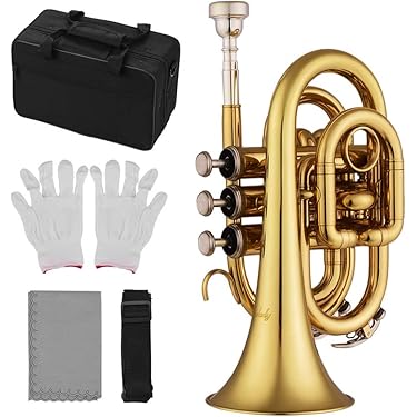 持ち運び最強!! ポケットトランペット 金管 楽器 ケース・マウスピース