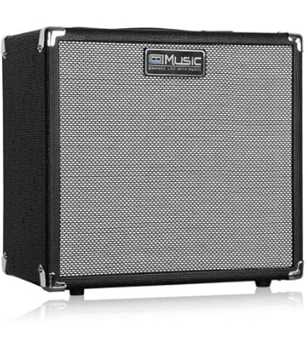 Amazon.co.jp: AMPEG BA-108 ベースコンボアンプ V2 : 楽器・音響機器