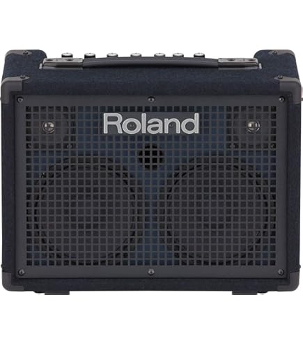Amazon | Roland ステレオ・キーボード・アンプ KC-110 | キーボード